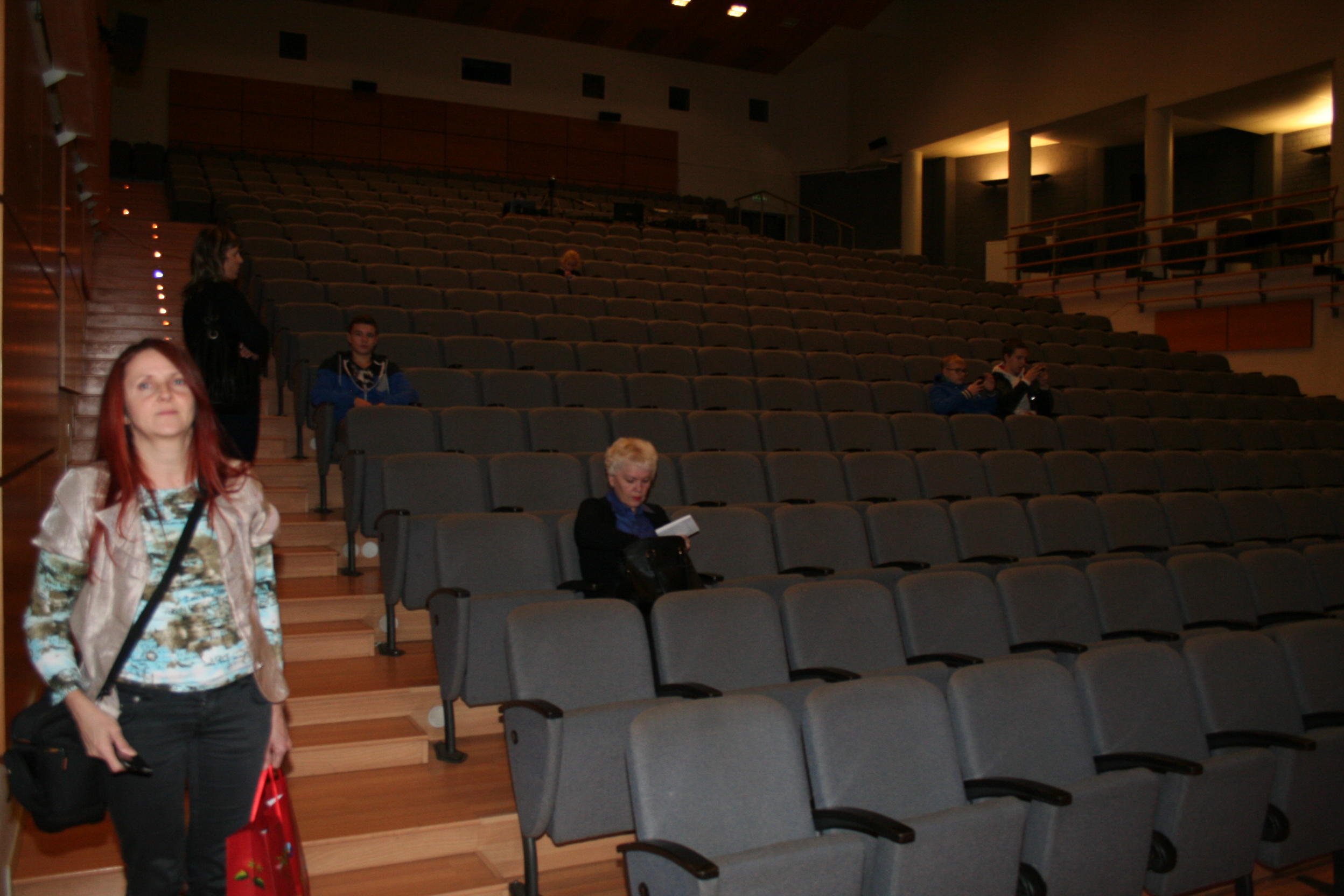 Digi kino avamine 2014