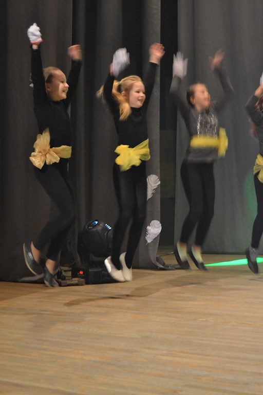 Huvialaringide talvekontsert