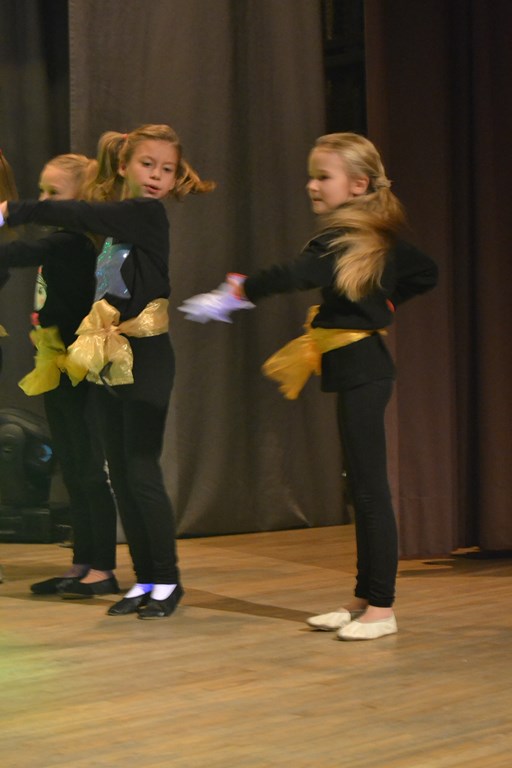 Huvialaringide talvekontsert