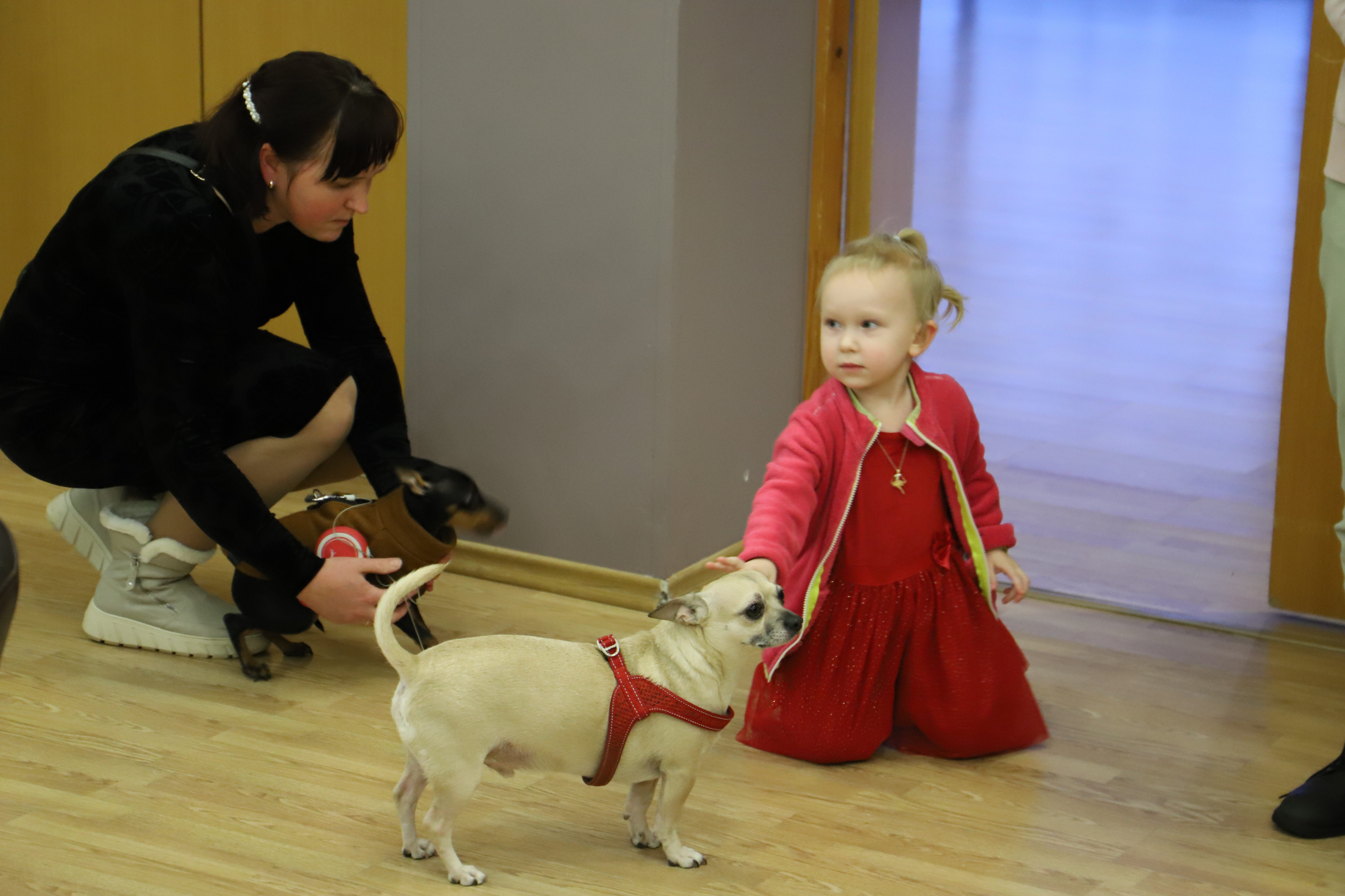 Juulimaalijate kolmas näitus 