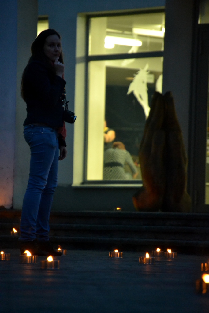 Kunstikuu avamine 2013