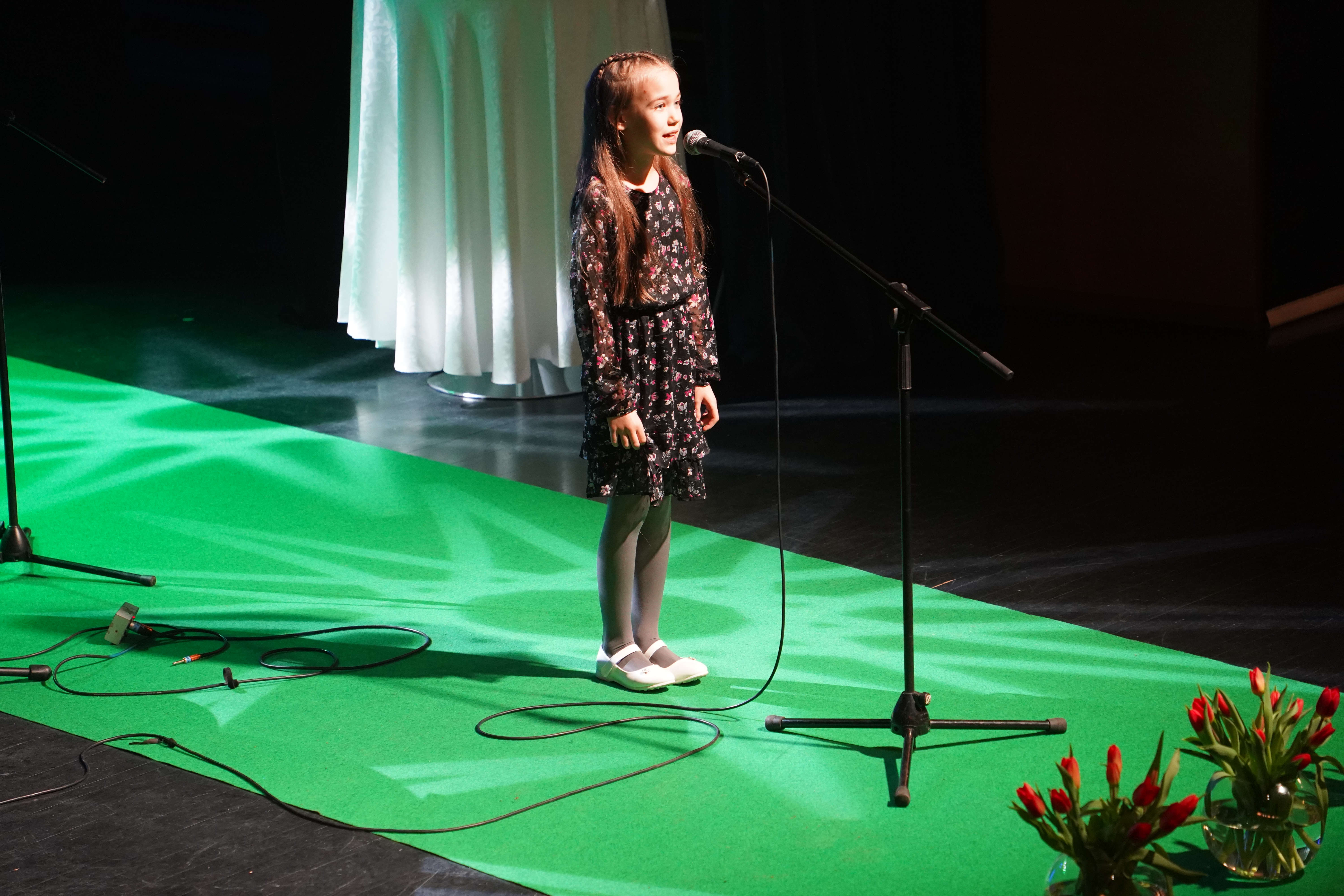 Tähtede lava 2024