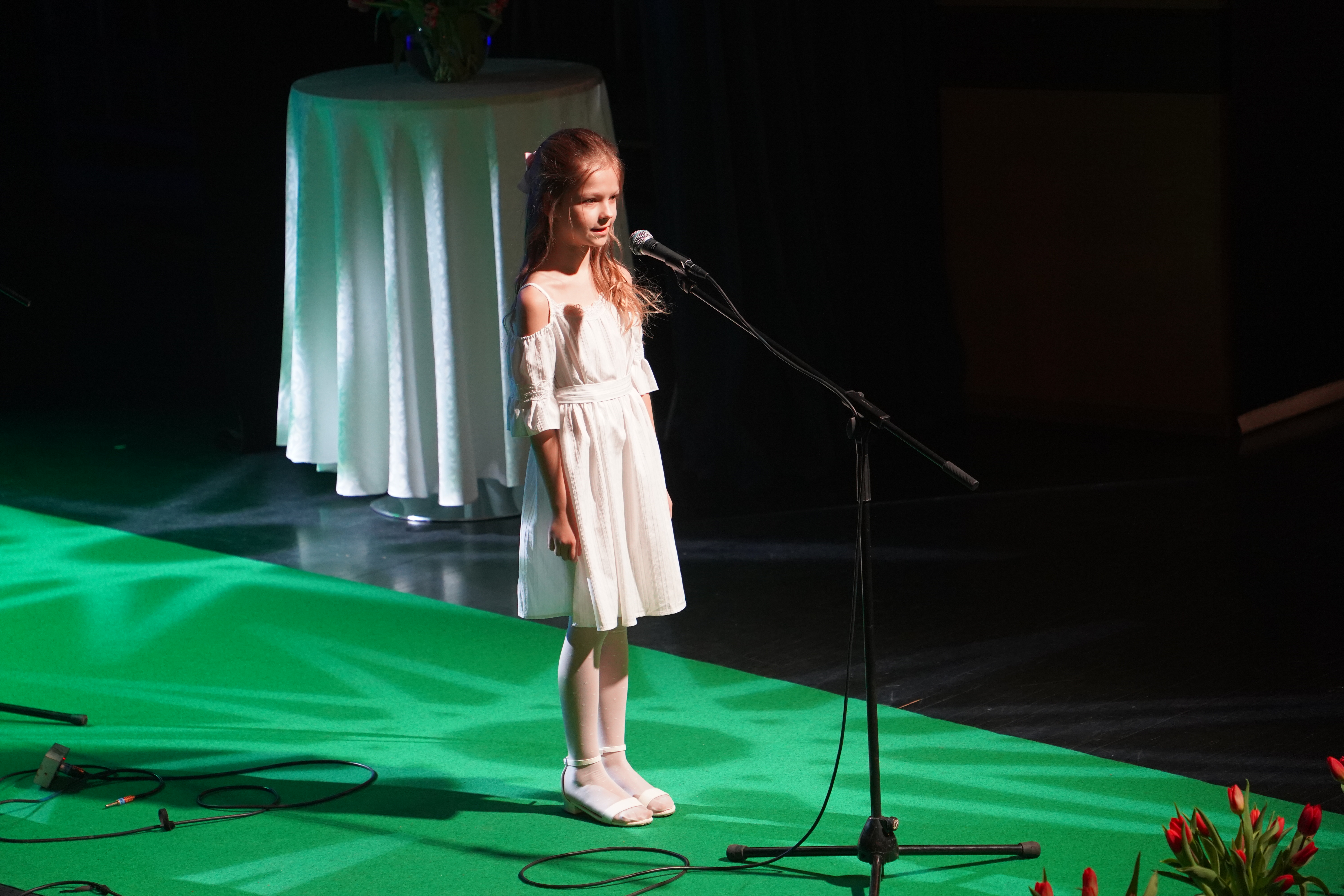 Tähtede lava 2024