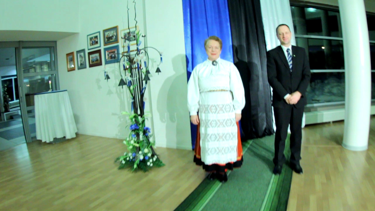 Vabariigi sünnipäev 2013