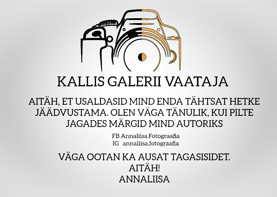 Valga 35. kunstikuu AJAPÄRLID
