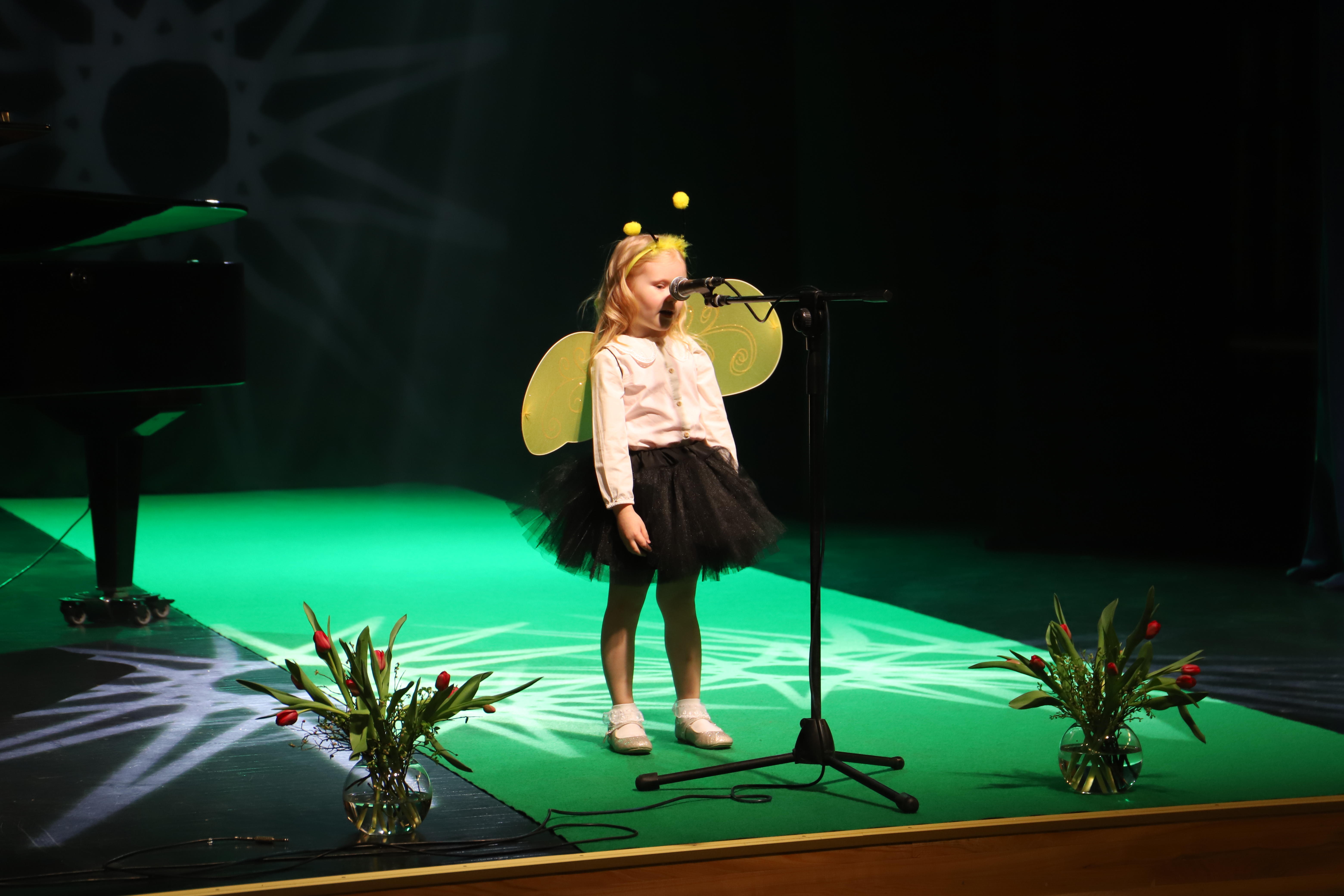 Valga valla Tähtede Lava 2025
